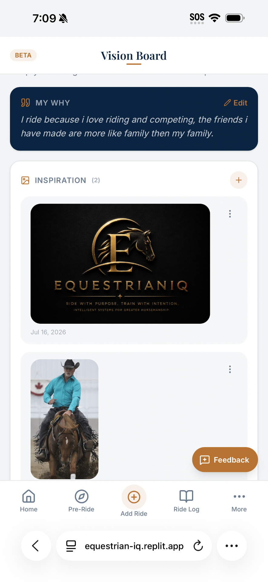 EquestrianIQ vision board with My Why note and inspiration images