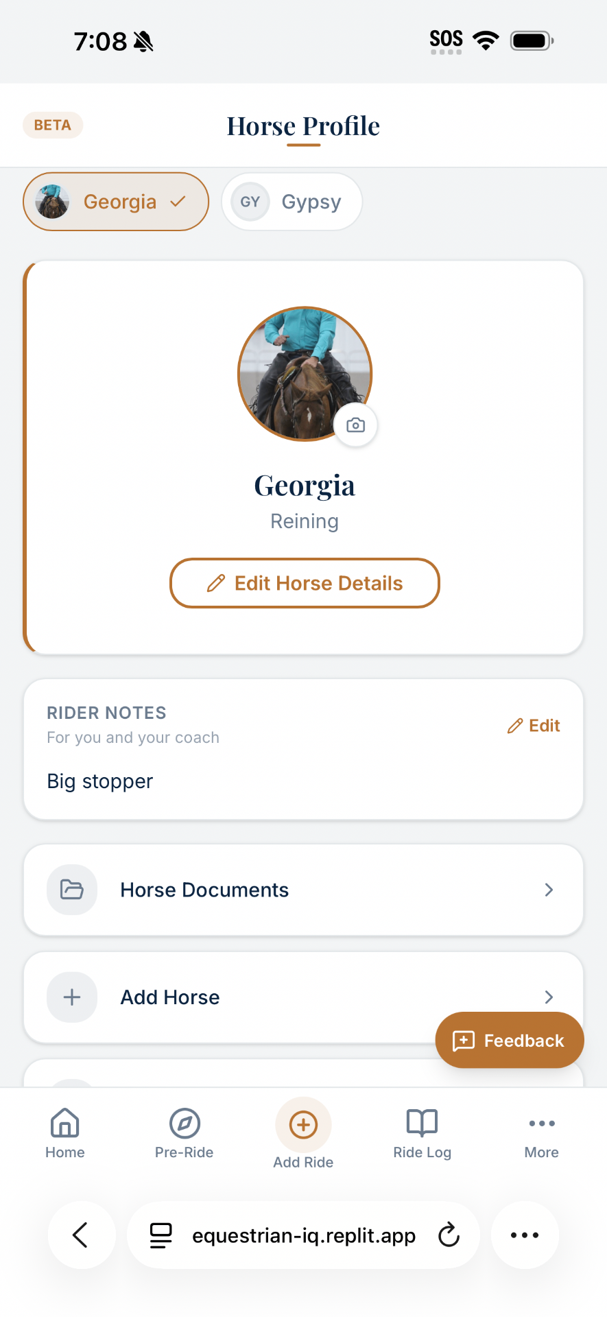 EquestrianIQ horse profile showing details and rider notes