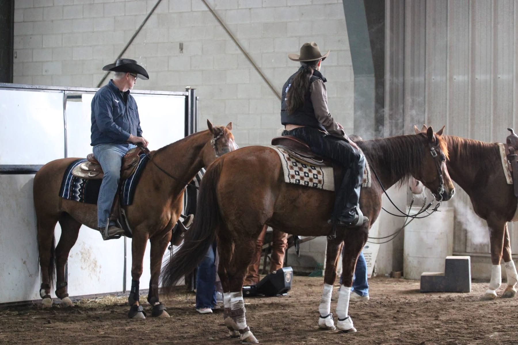Three riders and horses lined up in an indoor arena