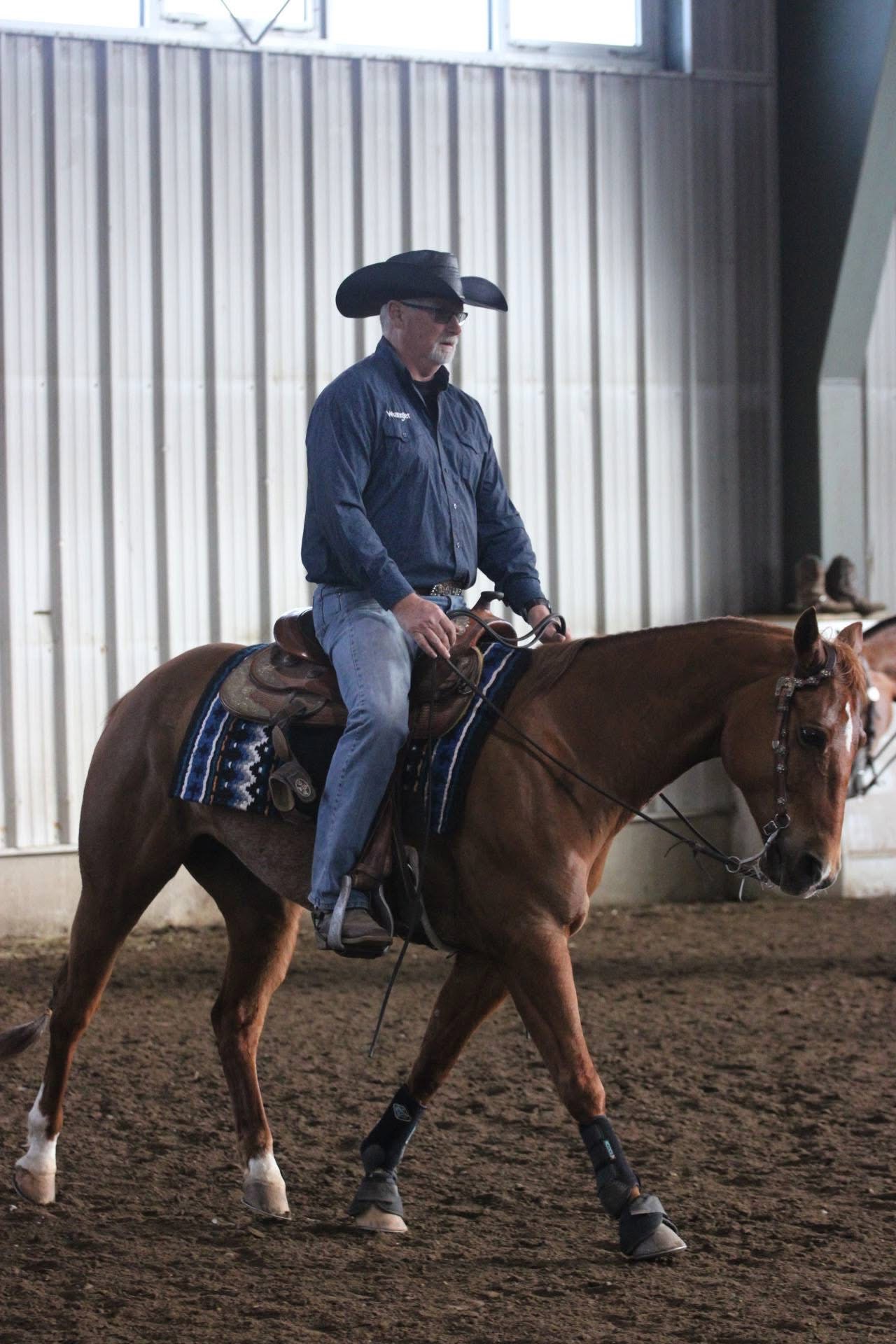 Mike walking a chestnut horse on a loose rein along the arena wall